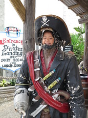 pirate