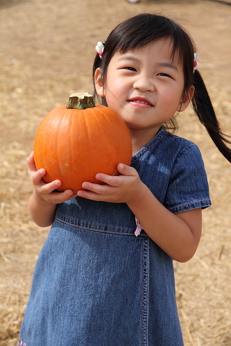 Pumpkin Patch 2010