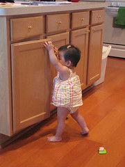 What's in there? What's in there?