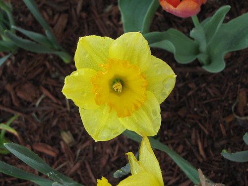 Project 52 - Week 14