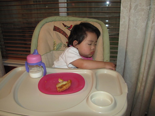 May 2011 Photo Recap