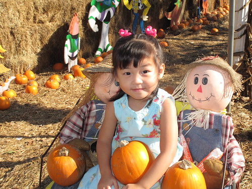 Pumpkin Patch 2009 Pumpkin Patch 2009