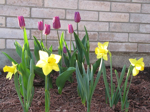 Project 52 - Week 13