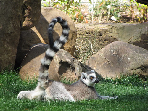 Zoo with Peterman's 2010