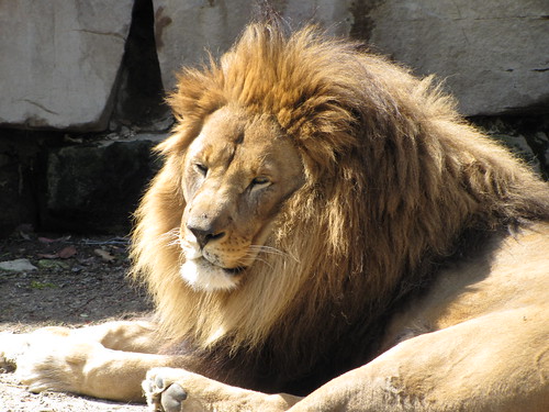 Zoo with Peterman's 2010