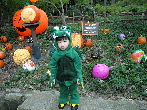 Boo_at_the_Zoo_2009_08