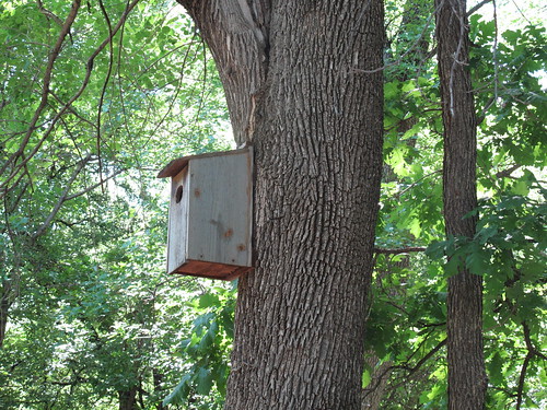 Museum School Field Trip