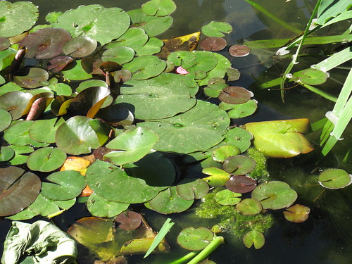 Museum School Field Trip