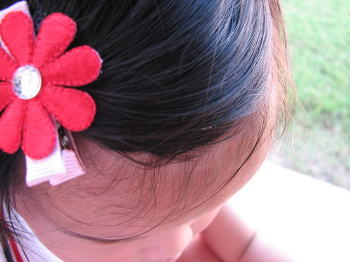Hair clip Hair clip