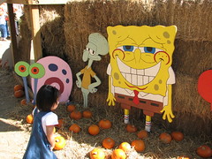 Pumpkin Patch 2008