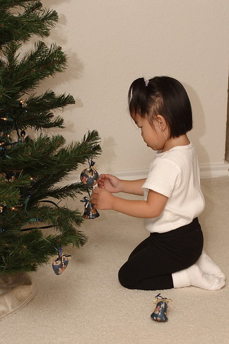 Christmas 2008 Decorations