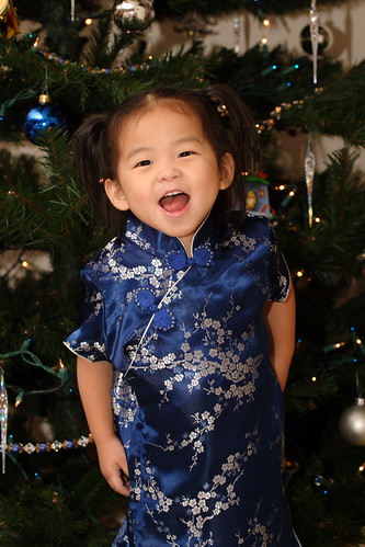 Nadia - 2008 Christmas Portraits