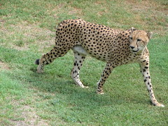 Michelle's Visit - Part 2