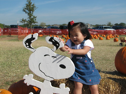 Pumpkin Patch 2008