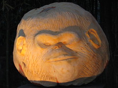 2nd birthday celebration