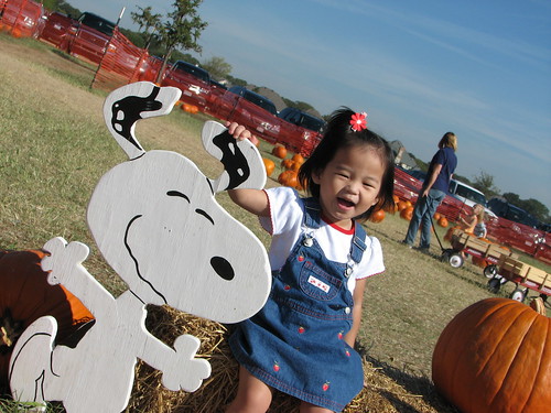 Pumpkin Patch 2008