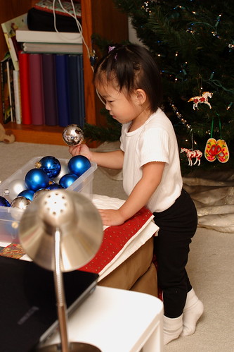 Christmas 2008 Decorations