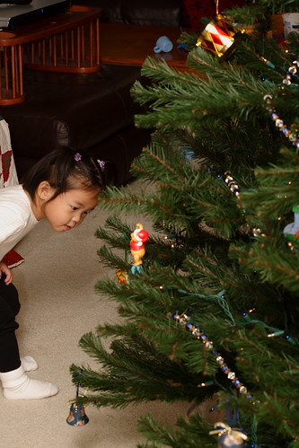 Christmas 2008 Decorations