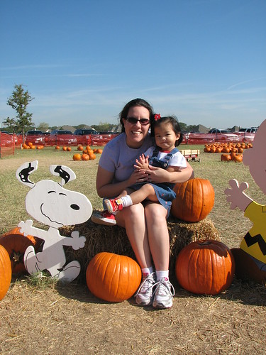 Pumpkin Patch 2008