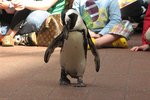 Kids Club April 2009