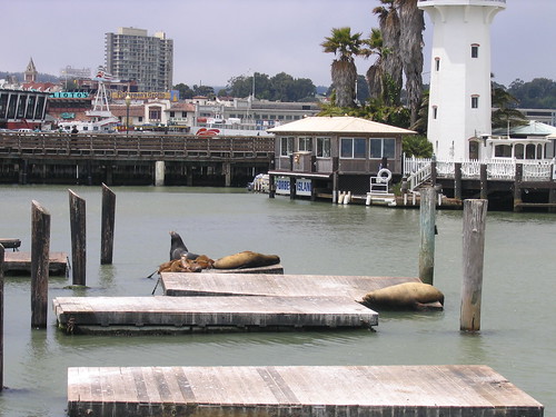 Sausalito 2007