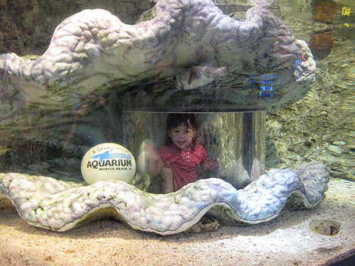 Myrtle Beach 8.12.09