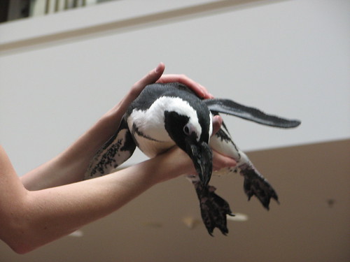 Kids Club April 2009