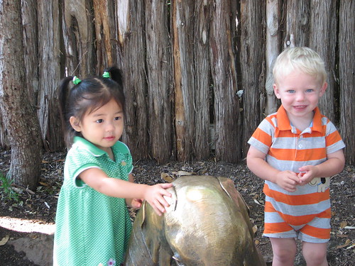 Zoo June 2009