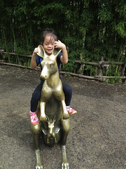 Zoo - 3.21.2014 Zoo - 3.21.2014