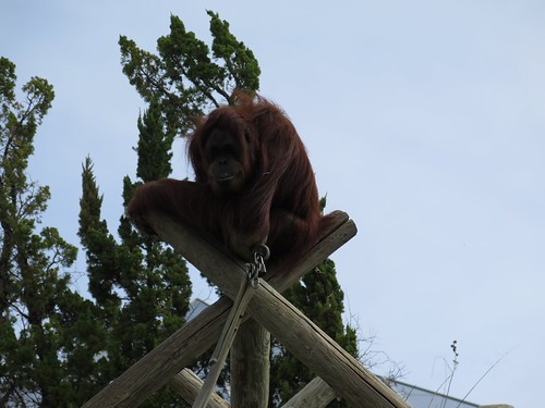 Zoo - 3.21.2014 Zoo - 3.21.2014