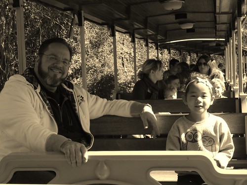 Amelie's 3rd Gotcha Day