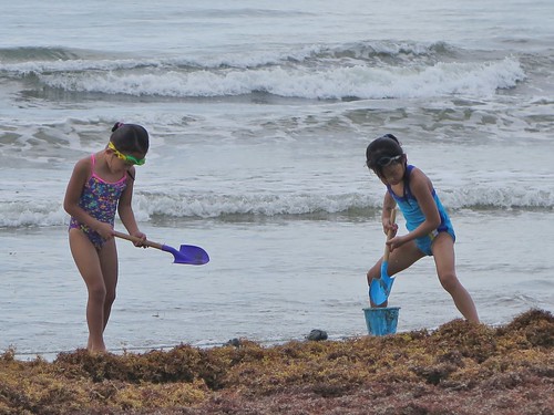 Day 1&2 - Beach 2014