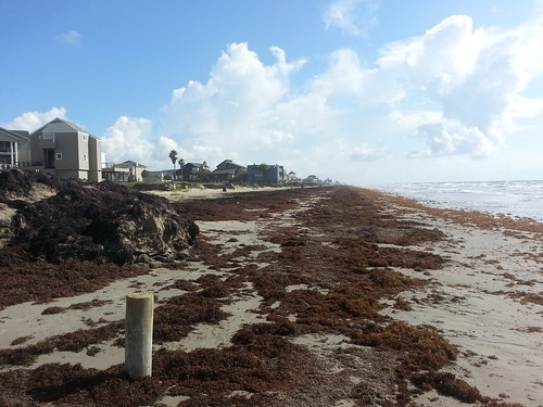 Day 1&2 - Beach 2014