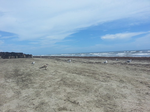 Day 1&2 - Beach 2014