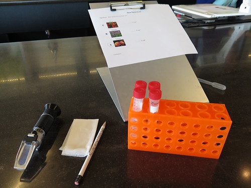 Childrens Garden 9.15.2014