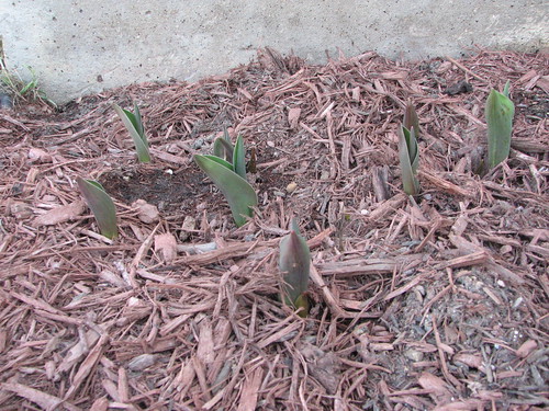 Project 52 - Week 10