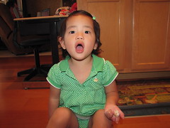 Sunny Seashells 2011