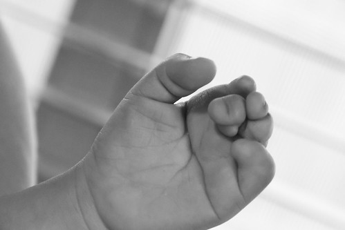 Amelie April 5, 2011