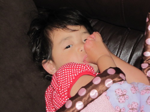 May 2011 Photo Recap