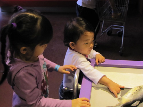 Amelie's First trip to the Museum