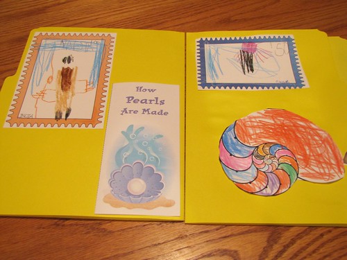 Sunny Seashells 2011