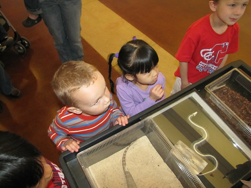 Amelie's First trip to the Museum