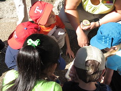 Museum School Field Trip