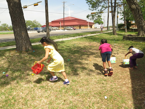 The older kids went a bit "Lord of the Eggs" over it.