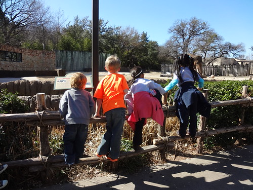 Amelie's 3rd Gotcha Day