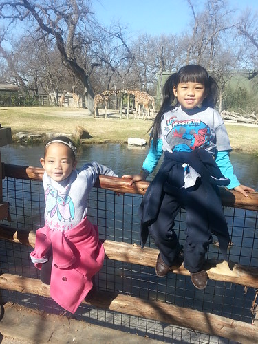 Amelie's 3rd Gotcha Day