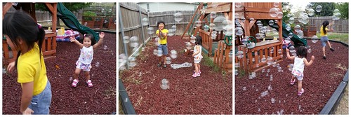 Last 2 weeks Aug 2014