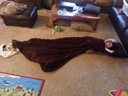 Dani's setup with her stuffed dog. Dani's setup with her stuffed dog.