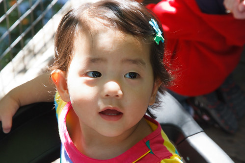 Amelie's First trip to the zoo