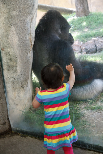 Amelie's First trip to the zoo